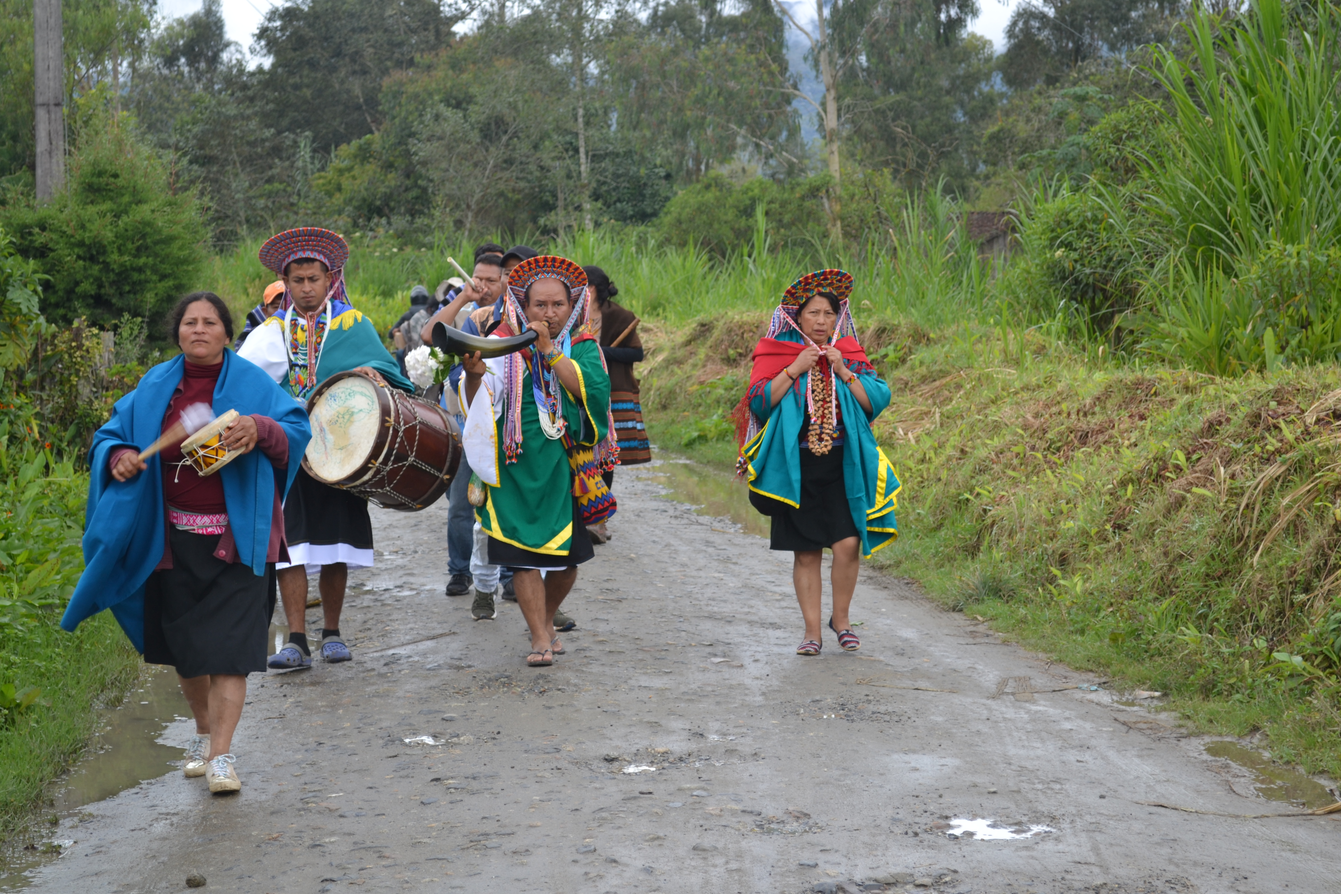 Plantas Tabanok - Kolumbien
